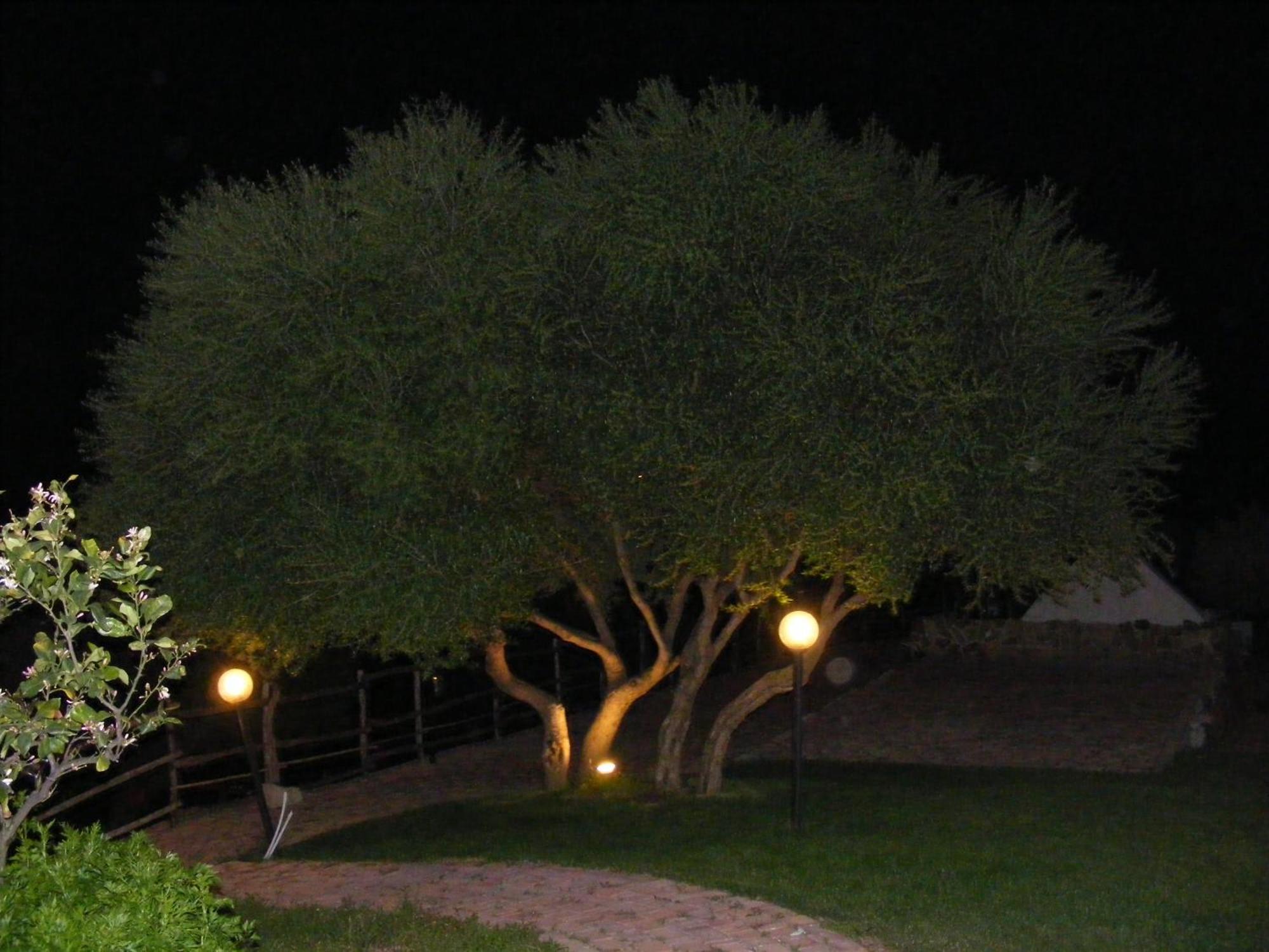 Tenuta Su Vrau Posada  Exterior photo